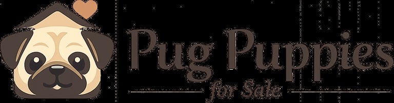 Dayton Pugs - Premium Pug Puppies